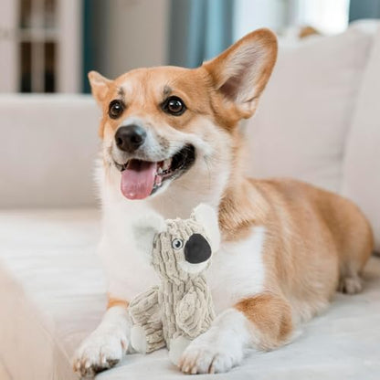 HDSMNGY Dog Toys for Aggressive Chewers, Durable Plush Rope Dog Toy with Squeaky, Interactive Tug Toy for Small Medium Dogs, Teeth Cleaning & Boredom Relief