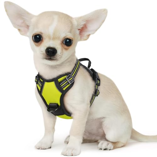 Small Dog Harness No Pull, Service Vest with Reflective Strips and Control Handle, Adjustable and Comfortable for Walking, No Choke Pet Harness with 2 Metal Rings, Green, XS - color: Green, size: X-Small