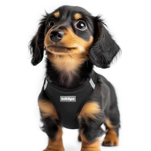 rabbitgoo Small Dog Harness, Step-in Soft Mesh Puppy Vest with Safety Buckle, Breathable Reflective Pet Harness for Extra Small Dogs, Black XXS - color: Black, size: Xxs(chest:12.4"-14.2")