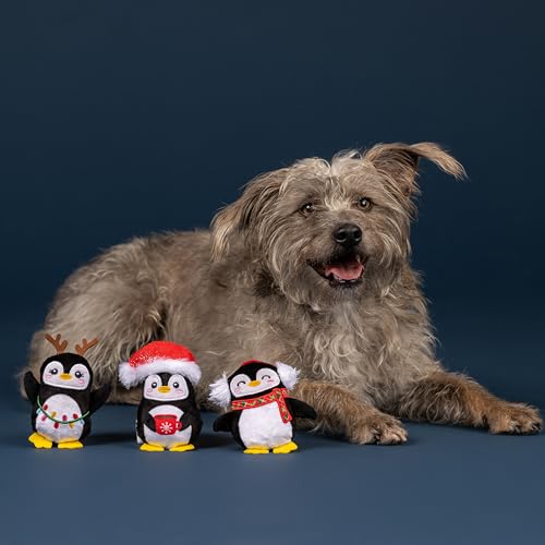 Fringe Studio Pet Toy, Waddle Squad Penguins Plush Dog Toy 3 Piece Set, PetShop Collection (662195) - color: Waddle Squad