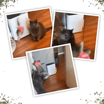 Meowijuana Jump 'n' Jamb Door Hanging Cat Toy | Sloth | Refillable Interactive Catnip Toy | Promotes Play and Cat Health | Includes Potent Catnip Grown in North America - color: Sloth Bundle