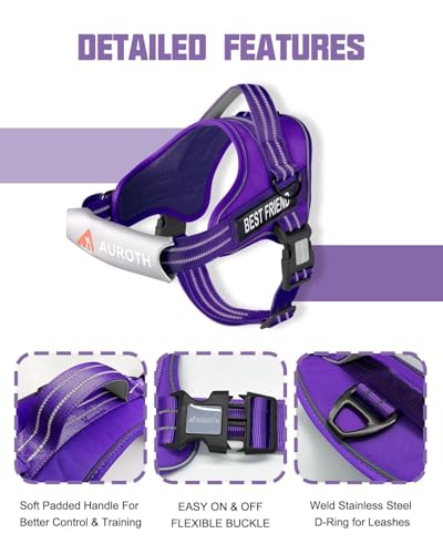 AUROTH Dog Harness and Leash Set, Soft Padded Service Dog Vest with 5.25FT Dog Leash, No Choke, Easy On Pet Vest, Adjustable Reflective No Pull Dog Harness Small Sized Dog, Easy Walking and Training - color: Purple, size: Small