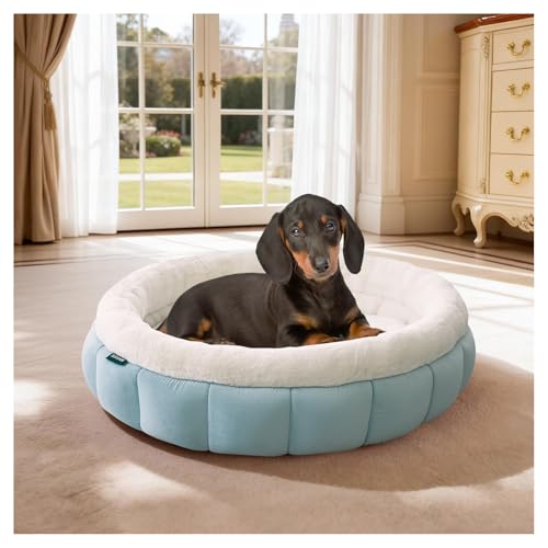 BALANCE Cat Beds for Indoor Cats, Washable Round Dog Bed, Donut Dog Bed with Anti-Slip Bottom for Small Dogs, 28 Inches, Dream Blue - color: Dream Blue, size: 28"L x 28"W x 7.5"Th