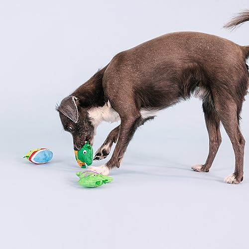 Fringe Studio Plush Dog Toy Set, Rawr-Ing Summer, Small 3 Piece Set, Pet Shop Collection (662089)