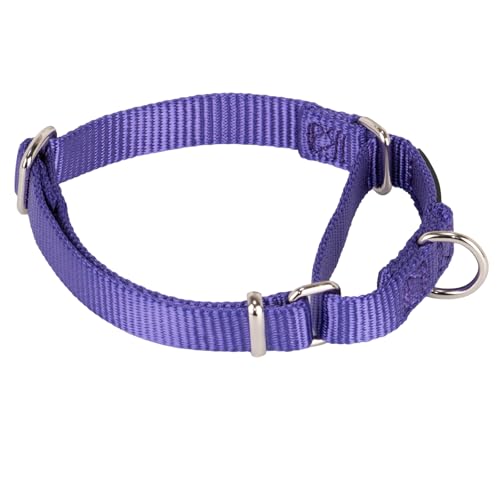 Martingale Collar for Dogs Small Purple |Escape - Proof Heavy Duty Nylon Durable No Buckle, Ideal for Training & Daily Walks - color: Ultra violet, size: Small