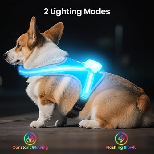Light Up Dog Harness, Reflective Adjustable Dog Vest, No Pull Illuminated LED Harness for Dogs Night Walking Hiking Running, Waterproof,Lightweight(Large, Blue)