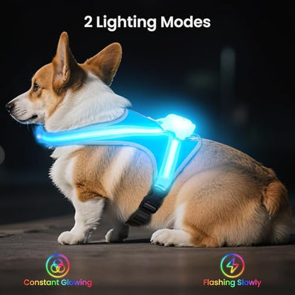 Light Up Dog Harness, Reflective Adjustable Dog Vest, No Pull Illuminated LED Harness for Dogs Night Walking Hiking Running, Waterproof,Lightweight(Large, Blue)