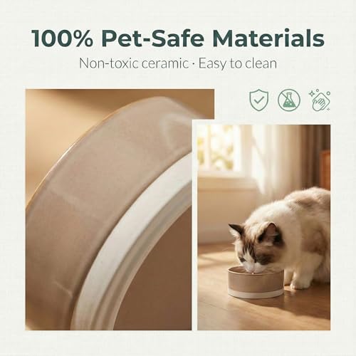 Ceramic Dog and Cat Bowl 2-Pack Non-Slip Weighted Food Water Set for Cats &Small Dogs 13.5OZ Brown - color: Brown – 2 Pack