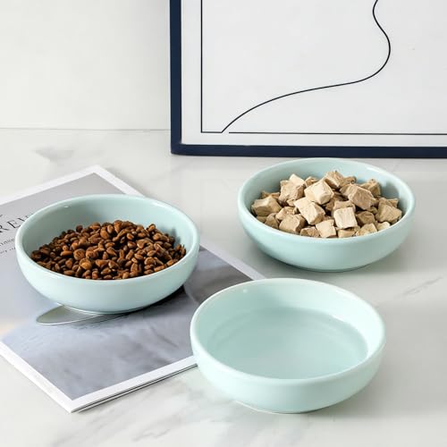 5.3 in Ceramic Cat Dishes - Shallow Food Bowls for Small Pets, 3 Pack for Food and Water -Light Blue - color: Light Blue
