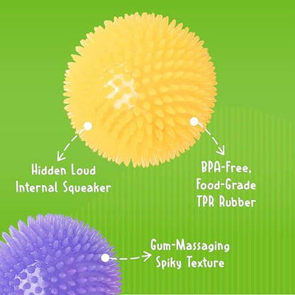 Gnawsome Medium Squeaker Ball Dog Toy, Medium 3.5", Colors will vary, All Breed Sizes - size: Medium
