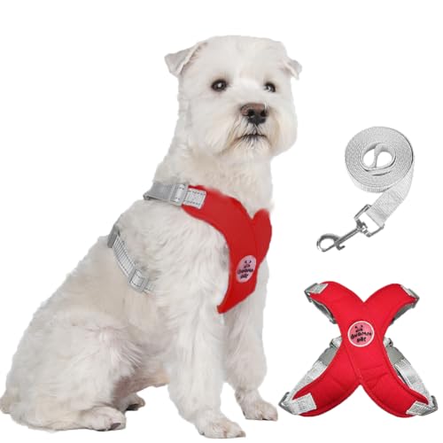 Dog Harness Pet X Frame No Pull Step-in Harnesses with Leash Set, Adjustable Reflective Choke Free Puppy with Padded Vest for Small, Medium Dogs and Cats Walking Training - color: Red, size: Small