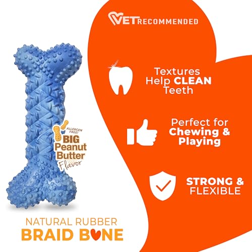 Nylabone Braid Bone Strong Chew Toy for Dogs, Natural Rubber Dog Toy for Moderate & Aggressive Chewers, Peanut Butter Flavor, Medium Dogs - Up to 35 lbs, 1 Count - size: Medium