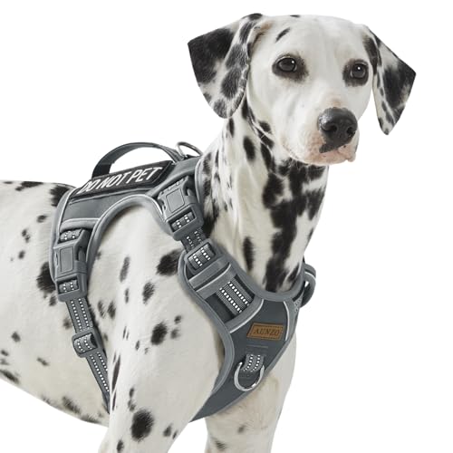 No Pull Dog Harness for Large Dogs with 2 Metal Clips, Easy On/Off with Neck Buckle, Heavy Duty Adjustable Tactical Puppy Vest, Breathable Pet Harness with Easy Control Handle, Gray L - color: Gray, size: Large