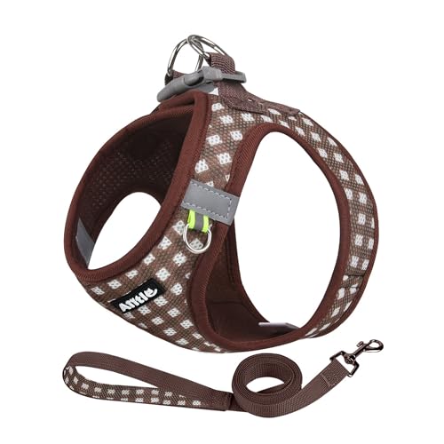 AIITLE No Pull Dog Harness and Leash Set, Step in No Chock Soft Mesh Dog Harnesses Reflective for Extra-Small Puppy Dogs and Cats, Plaid Dog Vest Harness for Pets Chocolate XXS - color: Chocolate, size: XXS