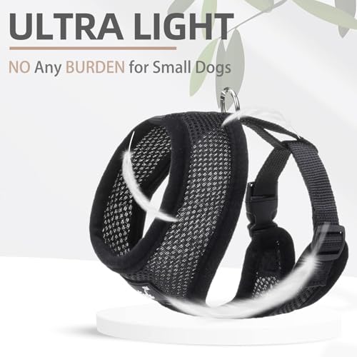 PUPTECK Soft Mesh Dog Harness and Leash Set Pet Puppy Cat Comfort Padded Vest No Pull Harnesses, Solid Black, XS - color: Solid Black, size: XS (NECK: 10", CHEST: 10"-14")