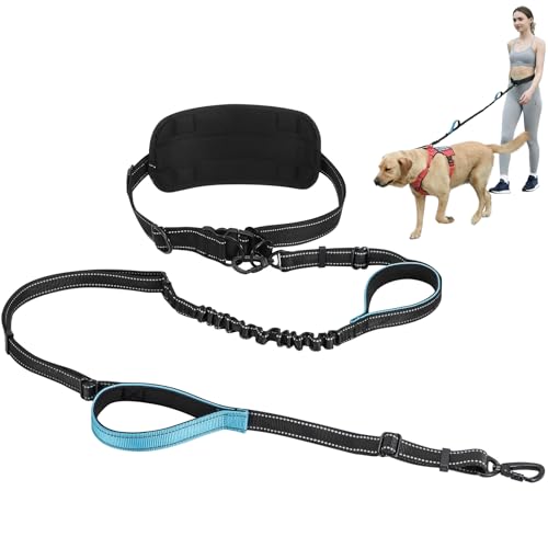 Hands Free Large Dog Leash, 6-8 FT Bungee Leash with Waist Belt for Dog Up to 150 lbs, Running Walking Jogging - color: 1 Dog – Shadow Black