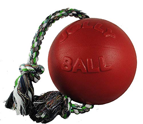 Jolly Pets Romp-n-Roll Rope and Ball Dog Toy, 8 Inches/Large, Red (608 RD) - color: Red, size: Large (8 in)