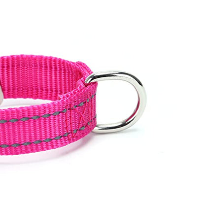 Martingale Dog Collars - Reflective Dog Collar with Quick Release Buckle Adjustable Nylon Training D Solution for Large, Medium, and Small Dogs (S, Purple) - color: Purple, size: S