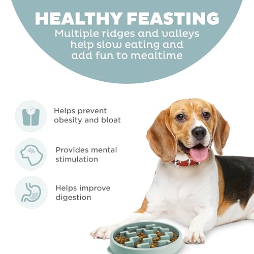 Outward Hound Medium Slow Feeder Bowl, Puzzle Maze for Fast Eaters, Small to Medium Dogs, Helps Prevent Bloat & Aid Digestion, Holds 2 Cups Wet or Dry Food, Non-Slip, Made Without BPA, Sage - size: Medium