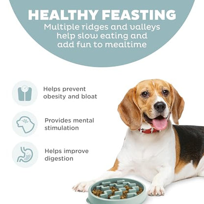 Outward Hound Medium Slow Feeder Bowl, Puzzle Maze for Fast Eaters, Small to Medium Dogs, Helps Prevent Bloat & Aid Digestion, Holds 2 Cups Wet or Dry Food, Non-Slip, Made Without BPA, Sage - size: Medium