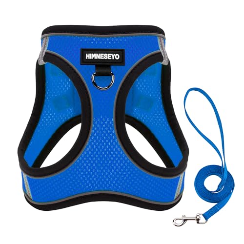 Dog Harness and Leash Set, Dog Harness for Dogs No Pull, No-Chock Step-in Reflective Breathable Lightweight Easy Walk Vest Harnesses with Safety Buckle for Small Medium Dogs, Cats (Blue, S) - color: Blue, size: S