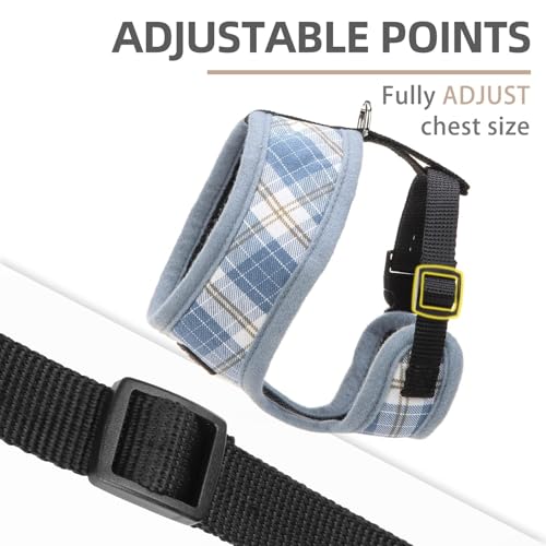 PUPTECK Soft Mesh Dog Harness and Leash Set Pet Puppy Cat Comfort Padded Vest No Pull Harnesses, Sky Blue, S - color: Sky Blue, size: S (NECK: 12", CHEST: 14"-18")