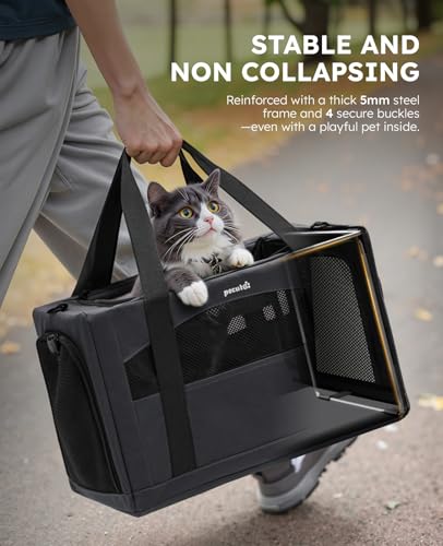 Pecute Cat Carrier Stable, Pet Carrier with Hidden Anxiety Relief Partition & Stable Steel Frame, Safe Cat Carrier for Car Travel, Soft-Sided Dog/Cat Carrier Bag for Pets Up to 11lbs, Dark Gray - color: Dark Gray Regular