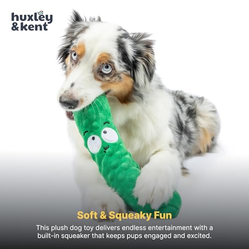 Huxley & Kent Funny Dog Toy w/Squeaker – Power Plush Squeaky Dog Toys for Small, Medium & Large Dogs – Soft Stuffed Animal for Indoor Play & Fetch - Fetchies® Dell Pickle, Small - size: Small, style: Dell Pickle