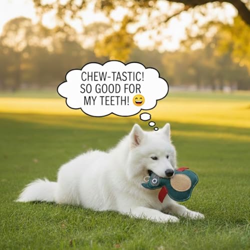 Natural Suede Leather Owl Chew Toy for Dogs & Puppies | Durable and Fun Interactive Toy | Supports Healthy Chewing and Daily Play | Soft Texture for Gentle Teeth - style: Owl Shape