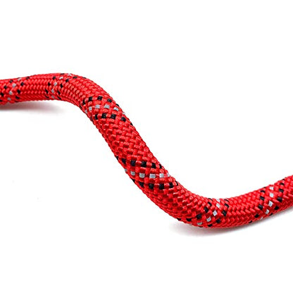 Heavy Duty Dog Leash with 1100LB Rated Locking Carabiner – 6FT Climbing-Inspired Reflective Rope Leash for Large & Medium Dogs that Pull – Padded Handle (Red) - color: Red