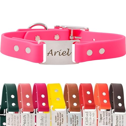 dogIDs Personalized Dog Collar – ScruffTag Custom Waterproof Biothane Dog Collar with Laser-Engraved Name, Durable & Odor-Resistant – USA Made | Pink, 1 in x 16 in (Fits Neck Sizes 14-18 in) - color: Pink, size: 1 in x 16 in (Fits Neck Sizes 14-18 in)