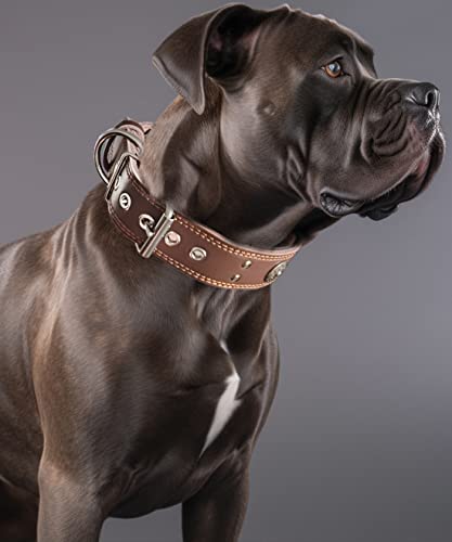 Leather Dog Collar, 2 inches Wide Heavy Duty Genuine Leather Collars, Handmade, Soft, and Luxury, Eye-catching Best Choice for Large and Medium Breed Dogs, Brown 15-19 in - color: Brown, size: 15-19 in