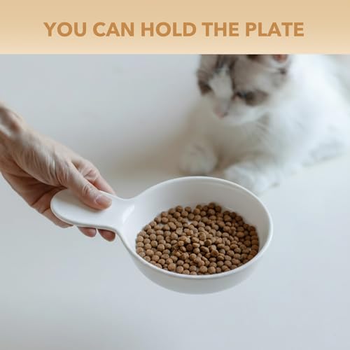Havniva Ceramic Cat Bowl Whisker Friendly 5.5” Cat Dishes Shallow Cat Food Bowl Anti-Slip Pet Water Bowls for Indoor Cats, Wide Cat Food Dish Prevent Whisker Fatigue (3 Pack) - color: White - C