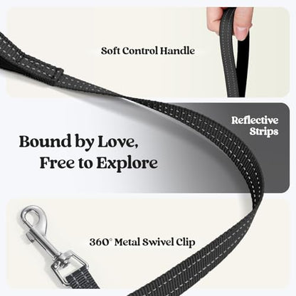 rabbitgoo Dog Harness Small Sized and Leash Set, Step in Soft Light Puppy Vest, Breathable Mesh Pet Harness, Reflective for Safe Easy Walking, Black Zigzag XS - color: Black Zigzag, size: Xs (chest: 13.3 - 15.5")