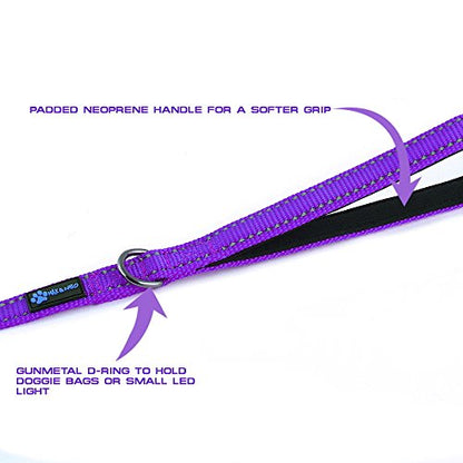 Max and Neo Small Dog Leash - Reflective Nylon, Donates to Dog Rescue (Purple, 4x5/8) - color: PURPLE, size: 4 FT x 5/8" Wide