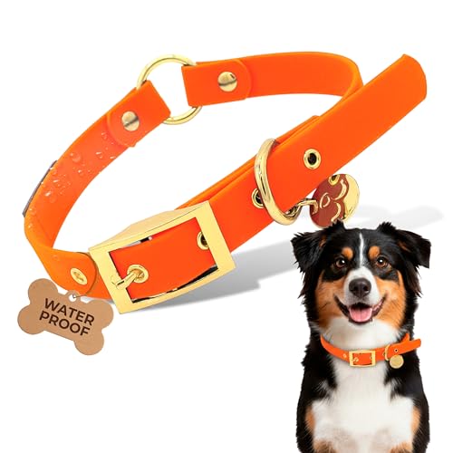 Waterproof Dog Collar for Active Dogs – Durable, Odor-Resistant, Easy to Clean Adjustable Collar for Small Medium Large Breeds – Comfortable Everyday Collar by Mila’s Paws (Savage Sunset Orange, M) - color: Savage Sunset Orange, size: M