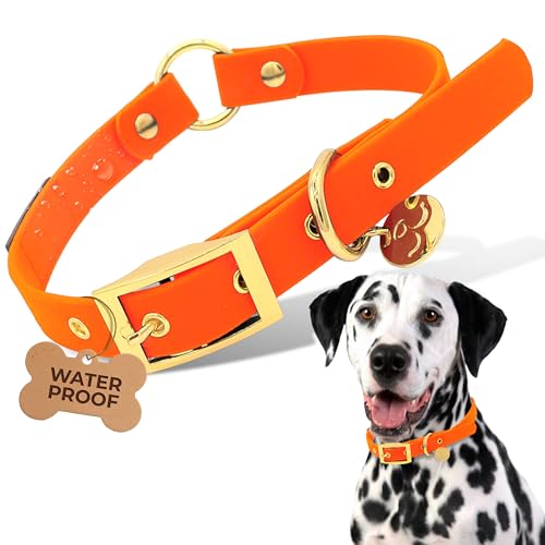 Waterproof Dog Collar for Active Dogs – Durable, Odor-Resistant, Easy to Clean Adjustable Collar for Small Medium Large Breeds – Comfortable Everyday Collar by Mila’s Paws (Savage Sunset Orange, L) - color: Savage Sunset Orange, size: L