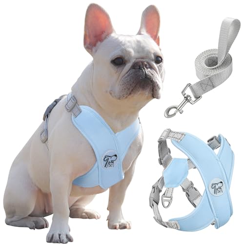 Pawaboo Small Dog Harness and Leash Set, Puppy Harness X-Frame No Pull No Choke, Dog Vest Harness Adjustable for Small Medium Sized Dogs, Soft Breathable Pet Harness for Walking Outing (L, Blue) - color: A-Blue, size: L(Neck 17.3-20.5" Chest 15.7-26.0")