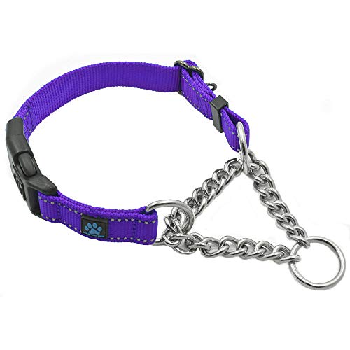 Max and Neo Stainless Steel Chain Martingale Collar - We Donate to a Dog Rescue for Every Collar Sold (Medium, Purple) - color: PURPLE, size: Medium
