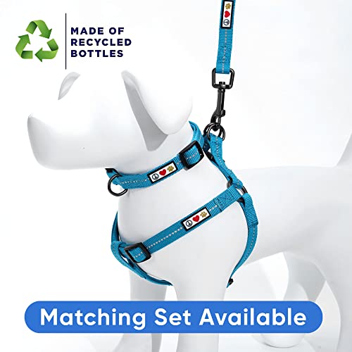 Pawtitas Recycled Dog Collar with Reflective Stitched Puppy Collar Made from Plastic Bottles Collected from Oceans Extra Small Teal Turquoise Wave - color: Recycled Teal, size: X-Small (Pack of 1)