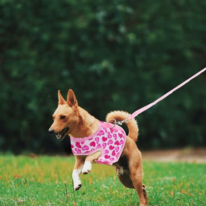 TOYANDONA Pet Mesh Dog Harness Vest Breathable Adjustable Strap Summer Outdoor Cool Harness for Small Dogs S Size with Leash Attachment