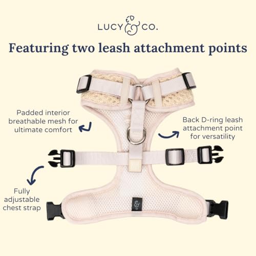 Lucy & Co. Main Squeeze Crochet No-Pull Dog Harness, Adjustable Front Clip Harness with Comfort Padding, Small - color: Main Squeeze, size: Small