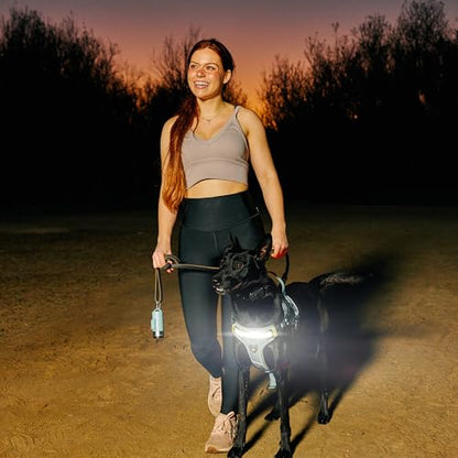 Lumi One LED Dog Harness for Night Visibility and Safety, Patent Pending – High-Visibility Light-Up Dog Vest, Rechargeable, Adjustable Fit, Reflective Trim, and Durable Construction (Teal Blue, Large) - color: Blue, size: Large