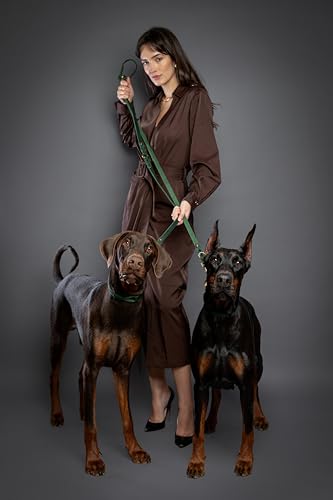 NOAH & PAW Leather Dog Leash, Premium Oil-Waxed Leather Braided, 8 ft Long Dog Leash with 6 Ways to Use Hands-Free, Quick-tie, Double Pet Lead Etc. Matching Collar Available. (Dark Green) - color: Dark Green
