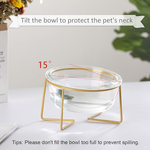 Small Glass Tilted Elevated Cat Dog Bowl Raised Cat Food Water Bowl Dish Pet Comfort Feeding Bowls with Gold Iron Stand - color: Glass, size: Small