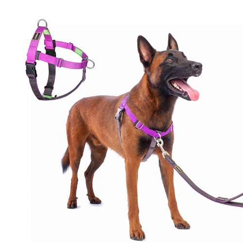 Freedom No Pull Dog Harness, Easy Walk with Front Clip, Two Stainless D-Rings, Sewn-in Instructions Tags for Easy Use, for Medium/Large Dogs Weight 40-60 lbs (Purple, Med/Large) - color: Purple, size: Medium/Large