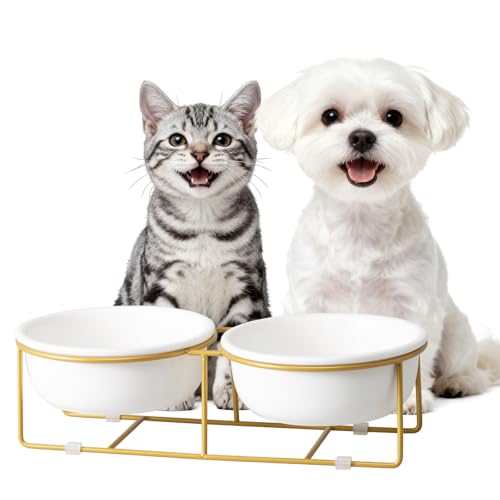 Elevated Dog Bowls for Food and Water - Double Ceramic Bowls with Metal Stand - Pet Feeding Set for Small Dogs and Cats - Each Holds 400ml / 2 Cups (Approx. 200g) - White - color: White×2-Flat, size: Small