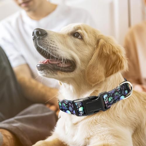Adjustable Dog Collar with Safety Buckle Quick Release - Soft Nylon Pet Collars for Small, Medium, Large Puppies Dogs Collar Girls - color: 16, size: M (Neck 12"-15")