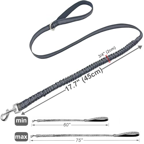 Bungee Dog Leash- 5FT Shock Absorbing & Reflective Nylon Leash| Anti-Pull Training for Small/Medium Dogs | 2cm Wide, 6 Colors (Black) - color: Black