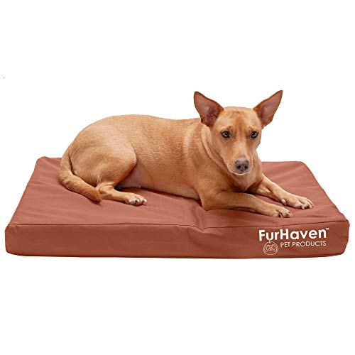 Furhaven Water-Resistant Orthopedic Dog Bed for Medium/Small Dogs w/ Removable Washable Cover, For Dogs Up to 35 lbs - Indoor/Outdoor Logo Print Oxford Polycanvas Mattress - Chestnut, Medium - color: Water-Resistant Logo Print (Chestnut), size: Medium